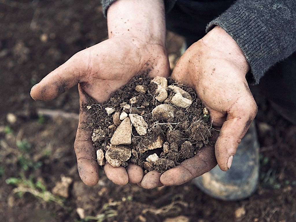 Arnaud Tessier showing his soil