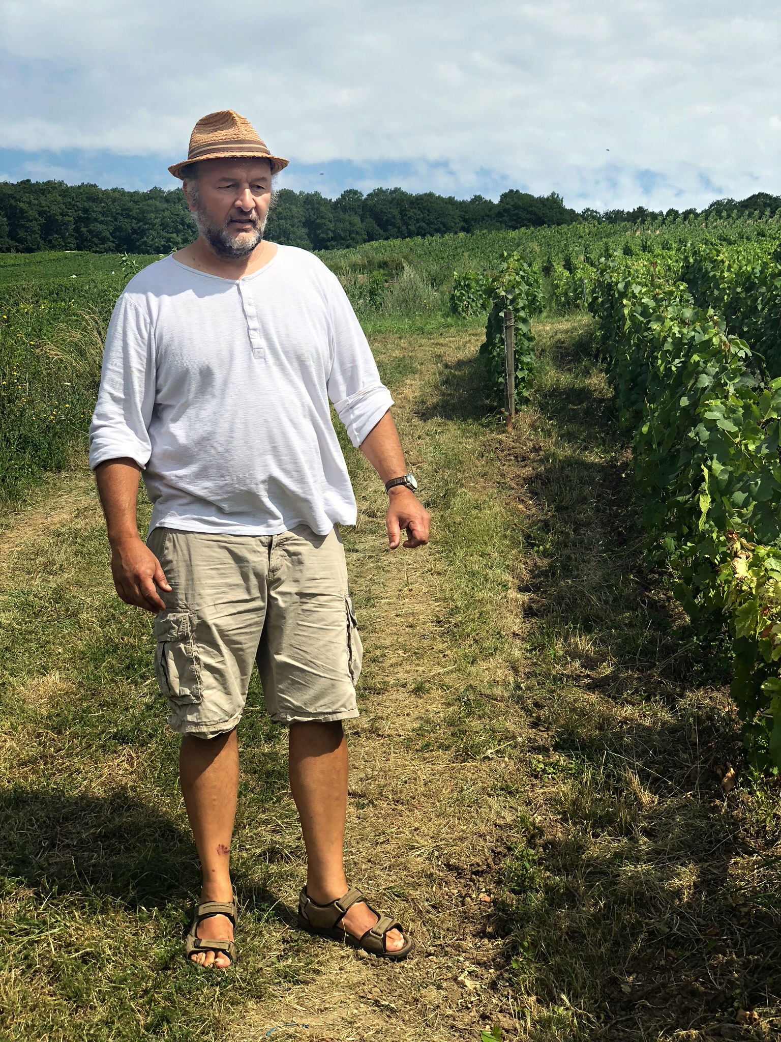 Vincent-Laval-at-Les-Longues-Violes-vineyard