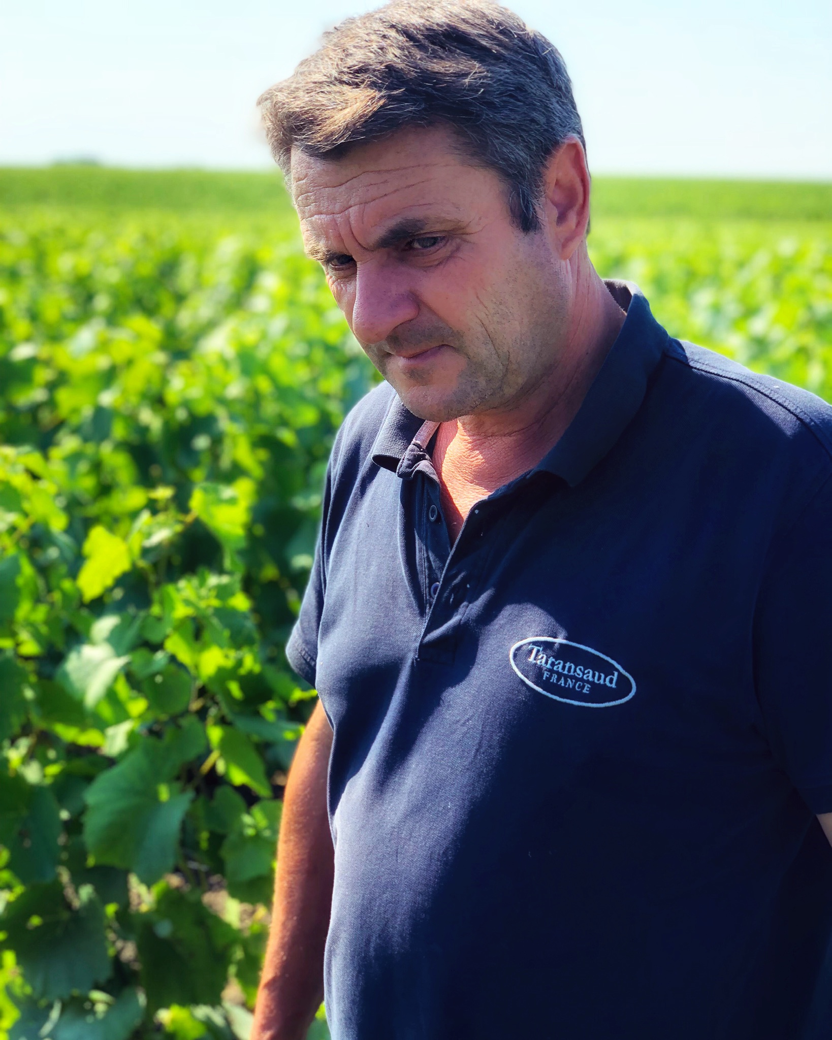 Benoit-Lahaye-in-his-vineyard