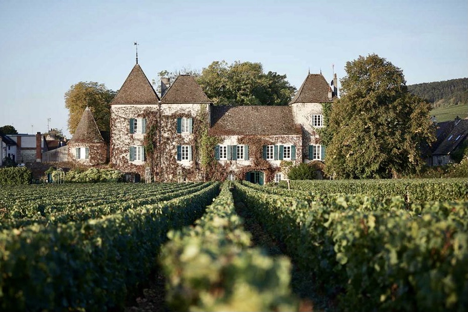 Clos_de_la_Commaraine_vineyard