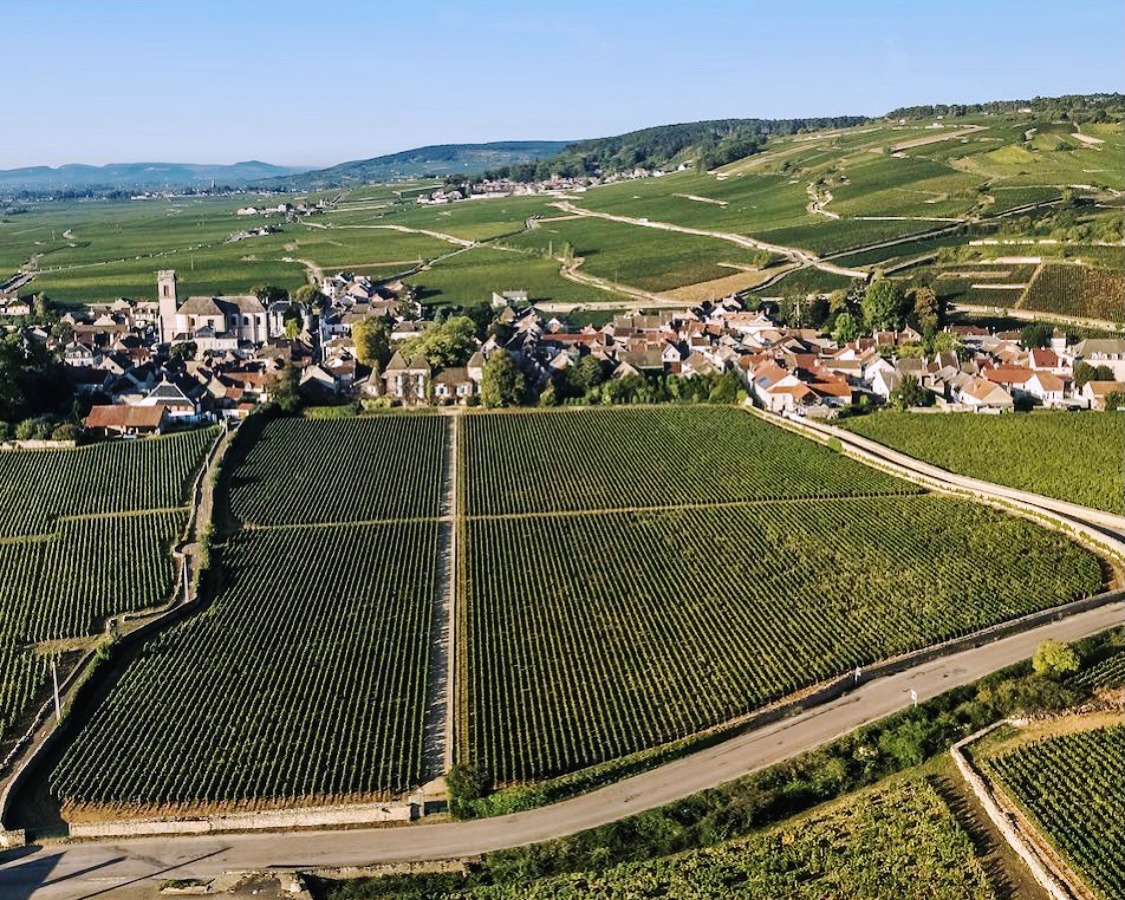 Clos_de_la_Commaraine_aerial_view