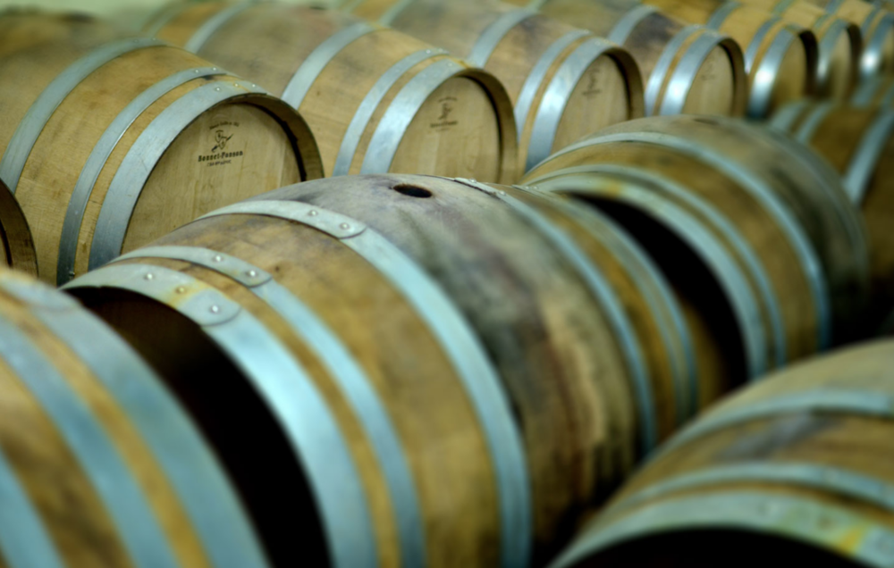 Barrels_in_the_Bonnet-Ponson_cellar_(photo:_Rootstock_Selections)