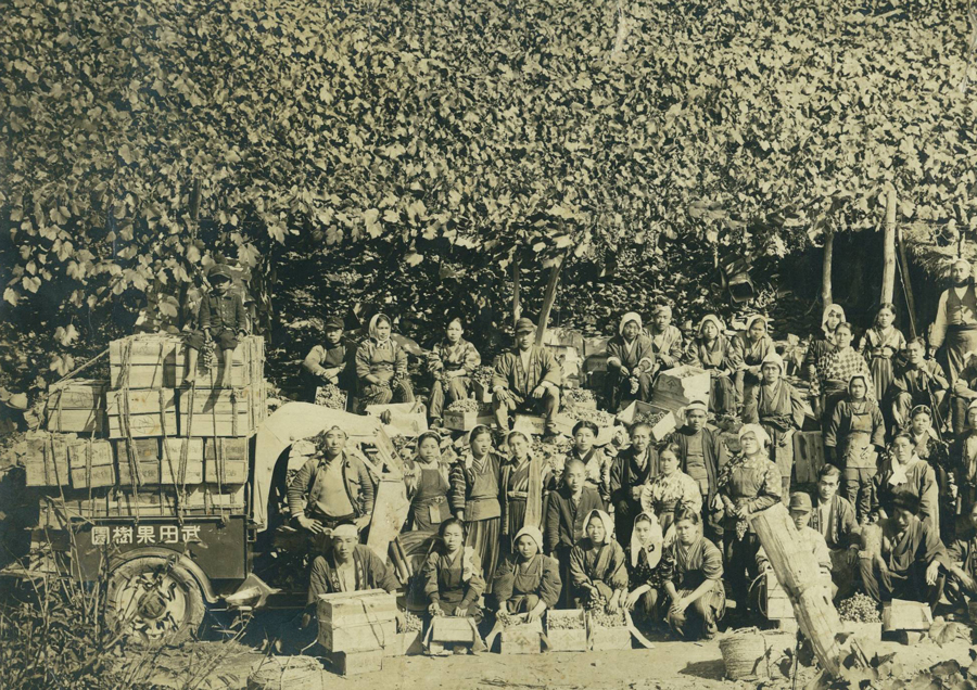 Shigenobu_Takeda_(far
left)_as_a_schoolboy_with_Takeda_Winery_workers_in_front_of_vines_of_Muscat_Bailey_A